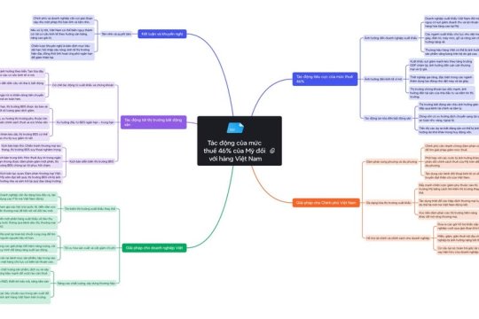 Nhận định ảnh hưởng của thuế quan 46% đánh lên hàng hóa Việt Nam