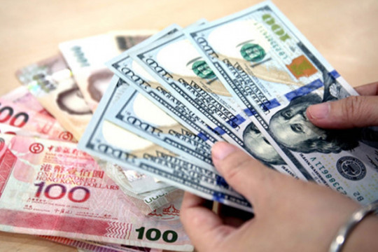 Tỷ giá ngoại tệ hôm nay 8/12/2025: USD, Euro và Yên Nhật duy trì ổn định