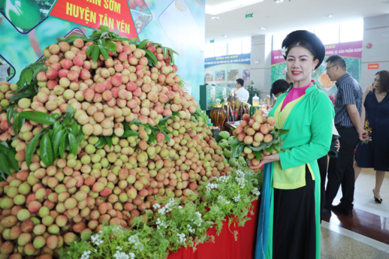 Đón đầu công nghệ khi Blockchain và IoT trở thành ‘bệ phóng’ của sản phẩm OCOP xanh