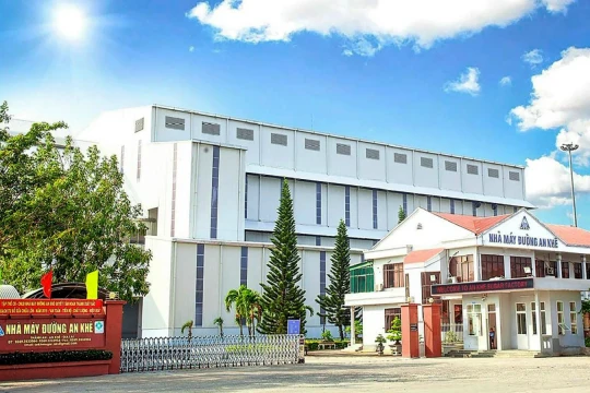 Đường Quảng Ngãi 'rót' hơn 4.700 tỷ vào loạt nhà máy ở Gia Lai