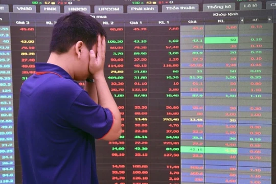 Chứng khoán tăng gần 41% một năm, vì sao nhiều người vẫn thua lỗ?