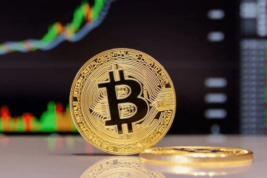 Giá Bitcoin hôm nay 24/2: Lao dốc dưới áp lực bán, thị trường rơi vào vùng “sợ hãi tột độ”