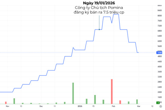 "Say sóng" với chuỗi tăng trần giảm sàn của POM, công ty Chủ tịch Pomina vẫn chưa bán được cổ phiếu nào