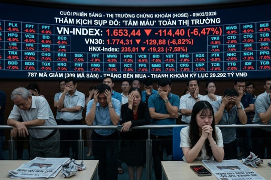 Sáng 9-3, hơn 300 cổ phiếu giảm sàn, nhà đầu tư làm gì để bảo vệ tài sản?