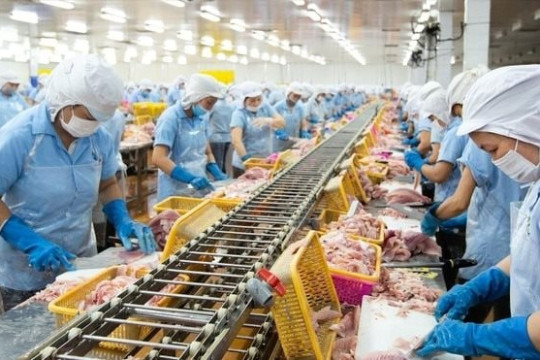 Con trai "vua cá rô phi" ra tay giải cứu cổ phiếu: Mua 1 triệu ANV khi giá rơi về mức thấp nhất 3 tháng