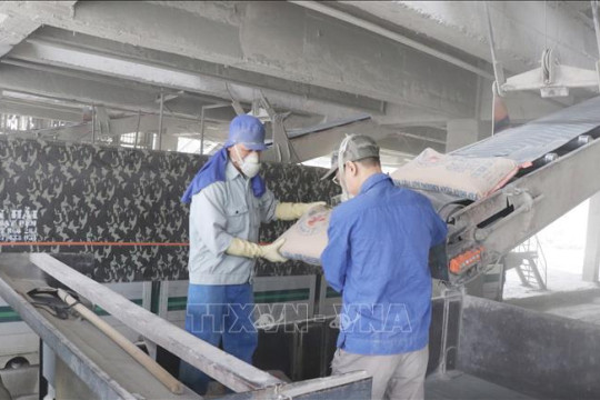 Giá xi măng tăng lần thứ ba trong quý I