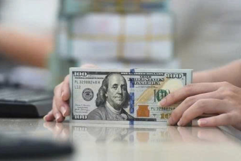 Giá USD tự do tăng mạnh 300 đồng, NHNN hút về lượng lớn VND trong tuần qua