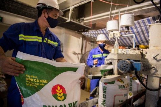 Cổ phiếu phân bón nằm sàn hàng loạt trong phiên VN-Index tăng hơn 17 điểm