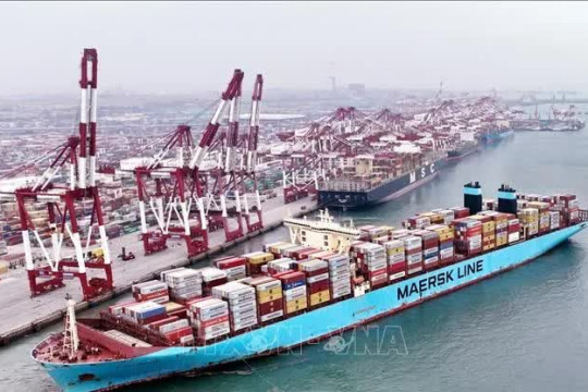 Cước vận chuyển container rục rịch tăng