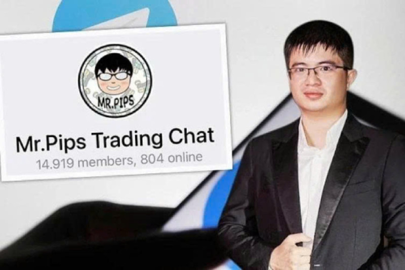 Cách Mr.Pips vận hành hệ sinh thái doanh nghiệp 'ma' để lừa đảo nhà đầu tư