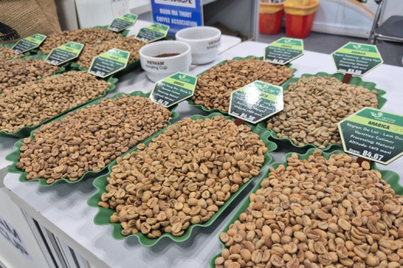 Giá cà phê hôm nay 26-3: Xuất hiện loại cà phê hơn 8 triệu đồng/kg