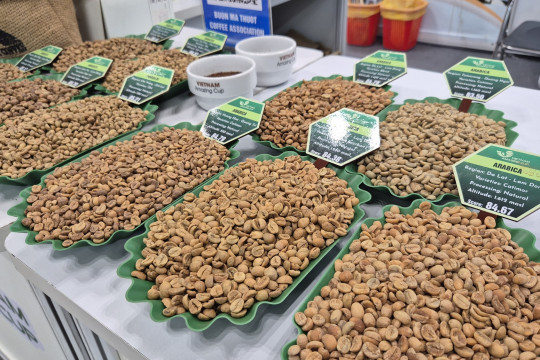 Giá cà phê hôm nay 26-3: Xuất hiện loại cà phê hơn 8 triệu đồng/kg