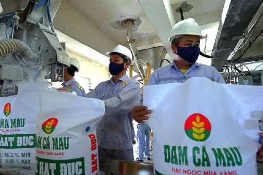 Cổ phiếu phân bón “ngược dòng” thị trường, thu hút mạnh dòng tiền “bắt đáy”