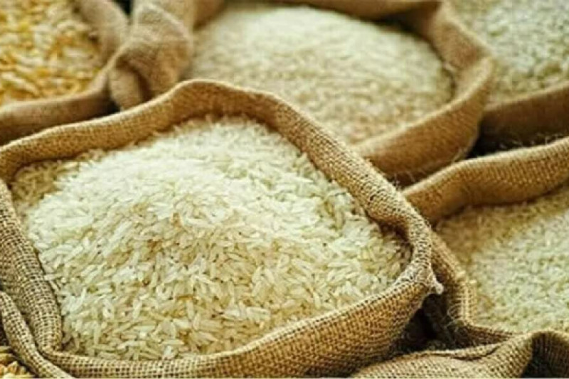 Giá gạo châu Á giảm do chi phí vận tải tăng mạnh