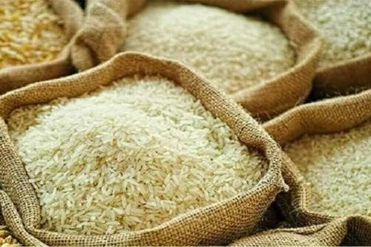 Giá gạo châu Á giảm do chi phí vận tải tăng mạnh