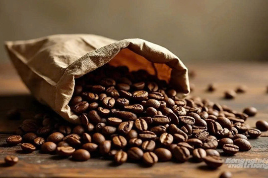 Giá cà phê hôm nay 31/3/2026: Lao dốc trên các sàn giao dịch