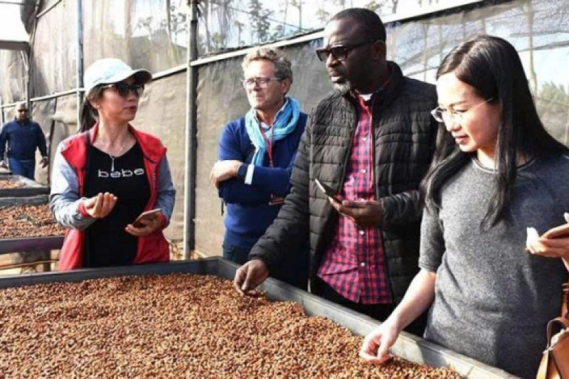 Xuất khẩu nông lâm thủy sản giảm tốc