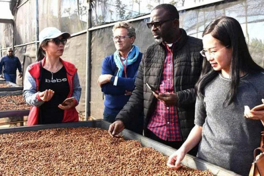 Xuất khẩu nông lâm thủy sản giảm tốc