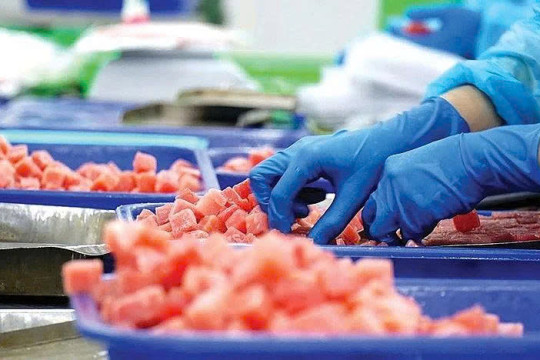 Doanh nghiệp thủy sản 'vượt bão'