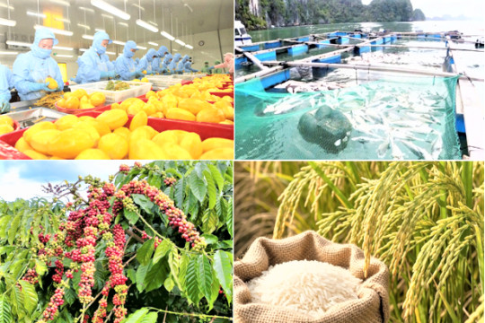 Xuất khẩu nông sản: Sản lượng tăng, giá trị giảm