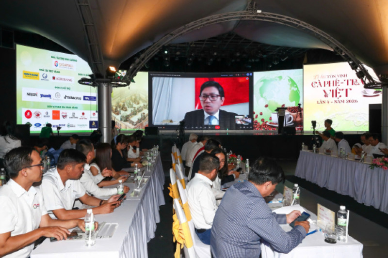 Cà phê Việt bán khắp châu Âu, vì sao người tiêu dùng không biết?